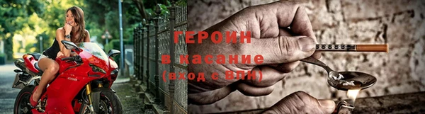 молекула духа Богданович