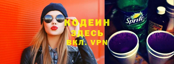 молекула духа Богданович