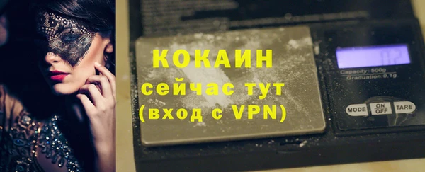 mix Богородицк