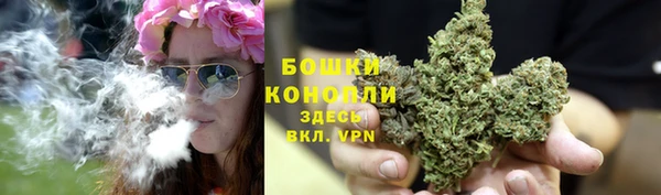 mix Богородицк