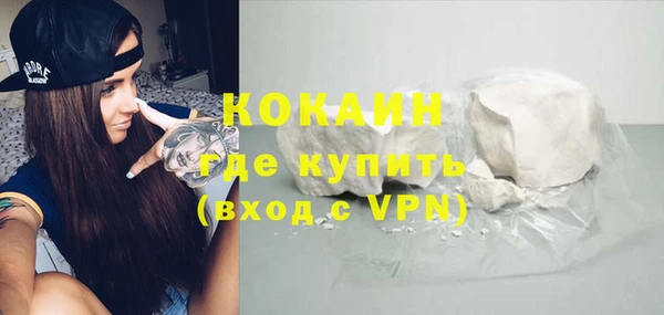 молекула духа Богданович