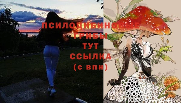 молекула духа Богданович