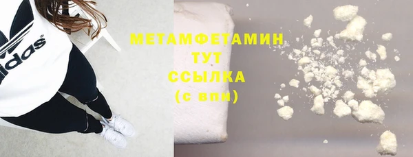 молекула духа Богданович