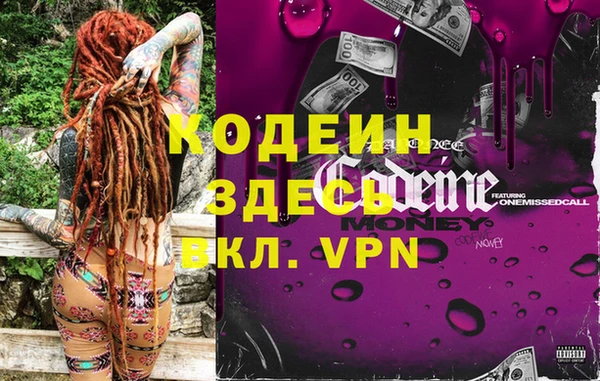 молекула духа Богданович