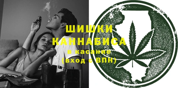 mix Богородицк