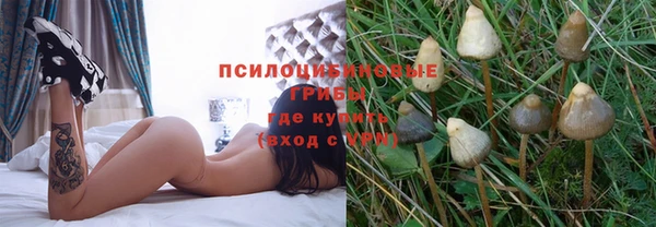 MDMA Богородск