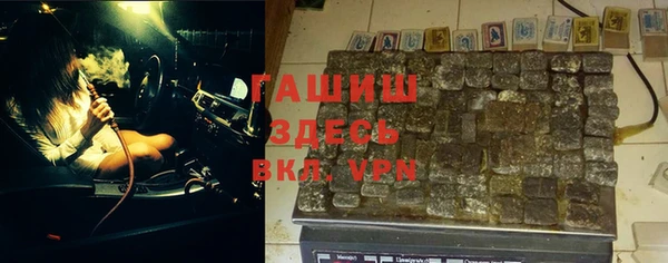 молекула духа Богданович