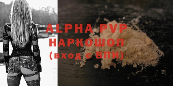 молекула духа Богданович