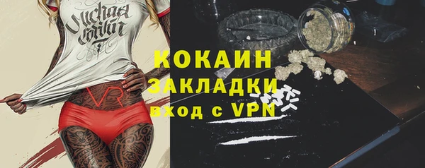 молекула духа Богданович